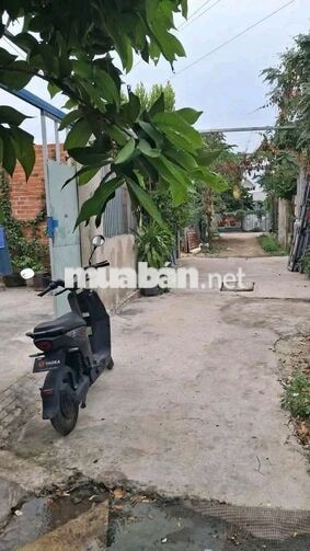 CHO THUÊ NHÀ VƯỜN CẤP 4 MỚI (CHÍNH CHỦ)