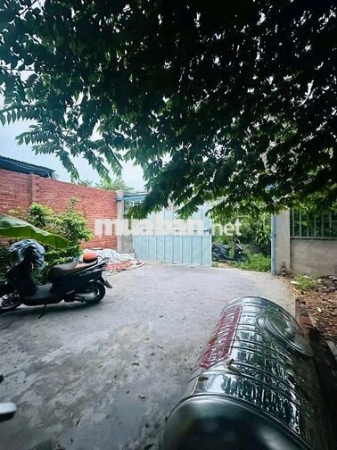 CHO THUÊ NHÀ VƯỜN CẤP 4 MỚI (CHÍNH CHỦ)