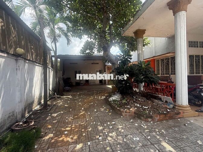 ĐẤT  THỔ CƯ 143M2. TRƯNG NỮ VƯƠNG. HÓC MÔN 