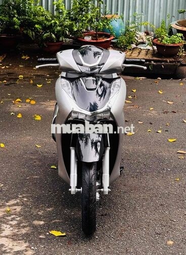 Honda SH 125i 2025 Bạc pocher đúng màu cavet