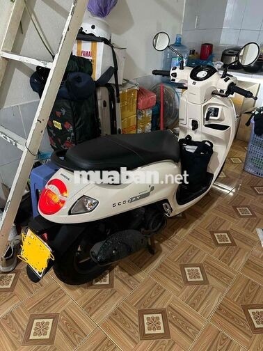 Honda Scoopy 2026 kem nhập Indonesia lướt 60 km