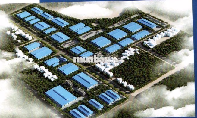 🏭 CCN ĐỒNG ĐÌNH – ĐIỂM ĐẾN MỚI CHO NHÀ ĐẦU TƯ, LỢI THẾ NHÂN LỰC