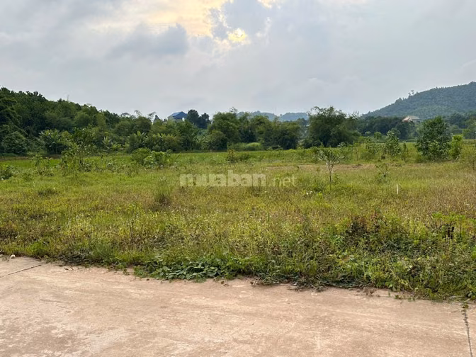 🔥 HOT!!!🌿 Lô đất siêu rộng gần 1 ha, có 1.162,3 mét vuông đất ở