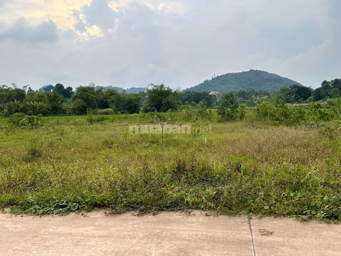 🔥 HOT!!!🌿 Lô đất siêu rộng gần 1 ha, có 1.162,3 mét vuông đất ở
