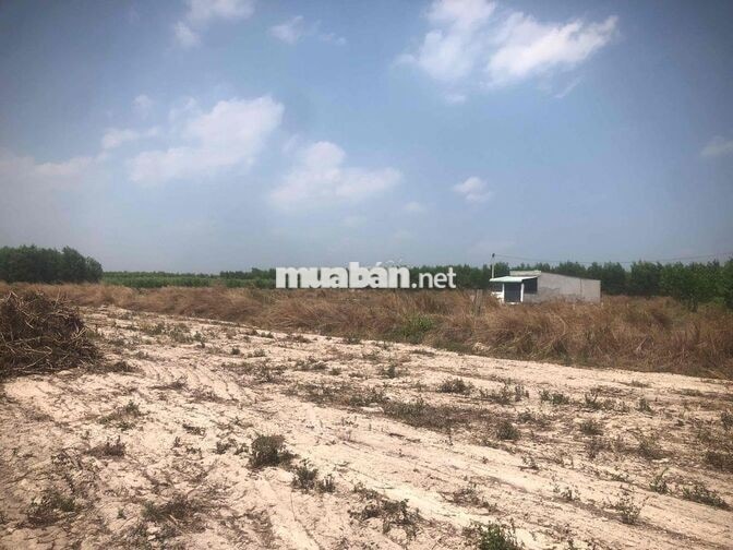 🔥 BÁN ĐẤT TẠI XÃ TÓC TIÊN, PHÚ MỸ, BR-VT🔥 (CHÍNH CHỦ
