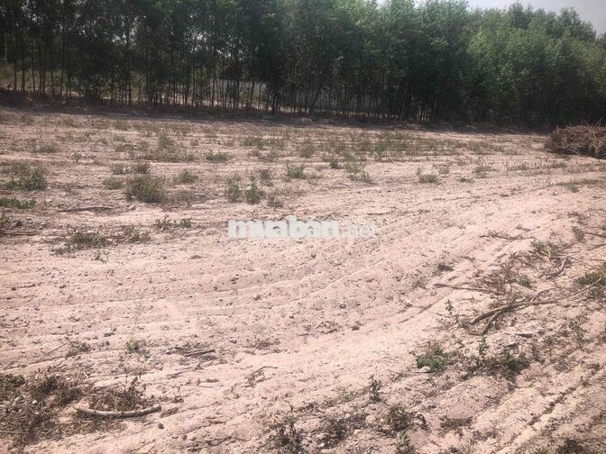 🔥 BÁN ĐẤT TẠI XÃ TÓC TIÊN, PHÚ MỸ, BR-VT🔥 (CHÍNH CHỦ
