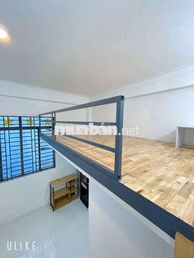 Phòng Sinh Viên/ Đi làm giá Hạt dẻ