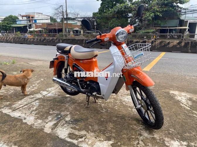 Xe số Vinsky C50 Cam 2025