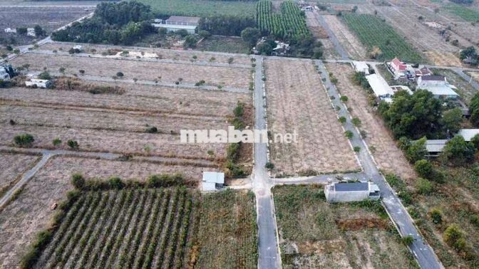 Nghộp Thở Bán Gấp Thửa Đất Sổ Riêng Cạnh KCN Tam Phước
