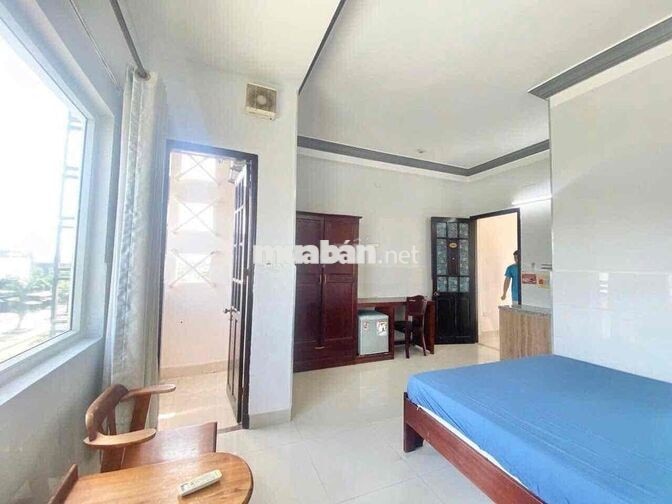 cần pass lại phòng hợp đồng 3 tháng
