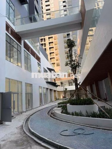 Cho thuê căn góc 3PN DAqua, view hồ bơi. Giá 15tr/tháng