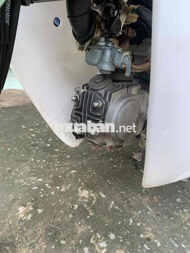 Daelim Cub 50cc Xanh ngọc