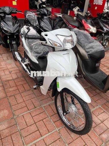 Honda Wave Alpha 110 Trắng