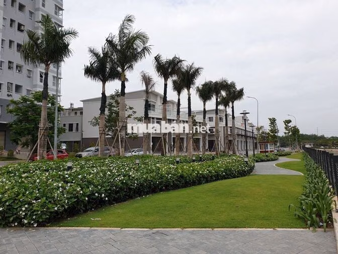 CHDV đẹp tại Mizuki Park, NT cao cấp, giáp Q7,5,8, Tr. Sơn
