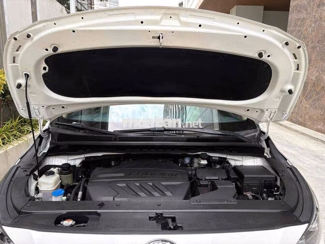 Kia Sedona 2019 2.2DATH Platinum Trắng CTY XHĐ cao
