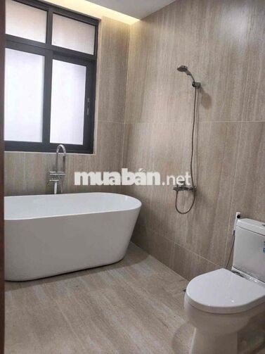 cho thuê nhà biệt thự trung tâm thành phố mới Bình Dương