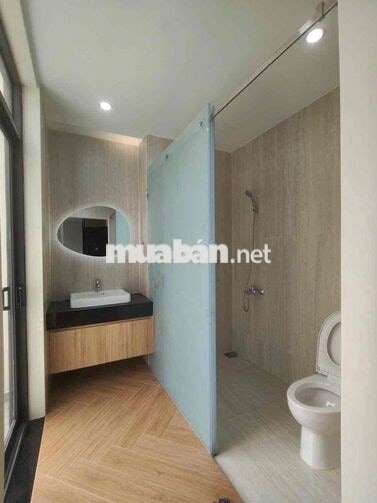 cho thuê nhà biệt thự trung tâm thành phố mới Bình Dương