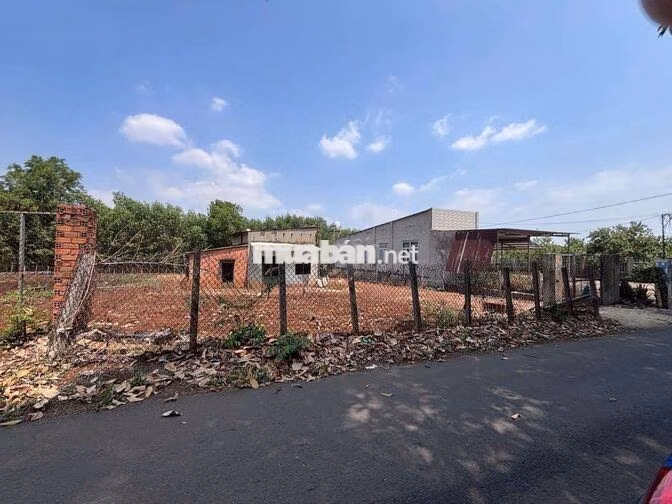 Bán đất Long Thành chỉ 5,5 triệu một mét