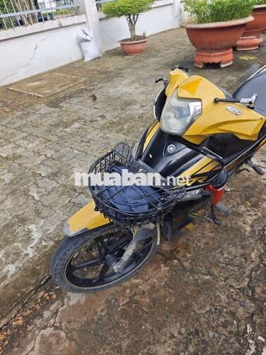 Yamaha Sirius Đen Vàng Xe số