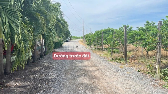 313m2 thổ cư gần trung tâm xã Dương Minh Châu. 459tr TL 
