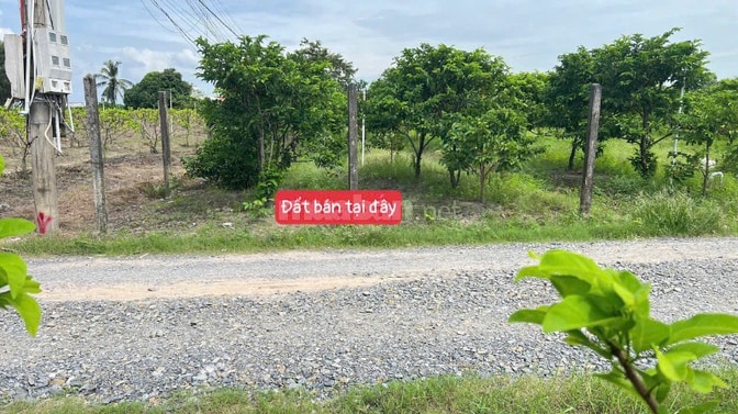 313m2 thổ cư gần trung tâm xã Dương Minh Châu. 459tr TL 