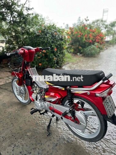 Dream TQ 100, Biển 95 Giao Cavet