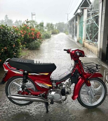 Dream TQ 100, Biển 95 Giao Cavet