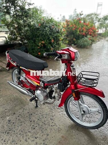 Dream TQ 100, Biển 95 Giao Cavet