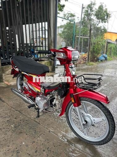 Dream TQ 100, Biển 95 Giao Cavet