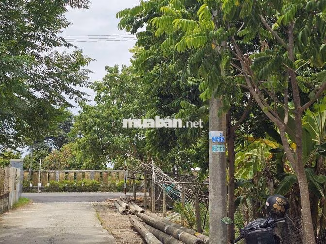 🔥 ĐẤT HÒA XUÂN GIÁ TỐT – 133,2m² – ĐƯỜNG BÊ TÔNG 5M – SỔ ĐỎ CHÍNH CHỦ 