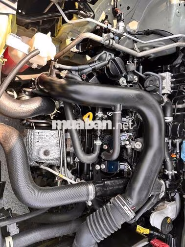 Toyota Raize 2024 5 chỗ Tự động Xăng Vàng