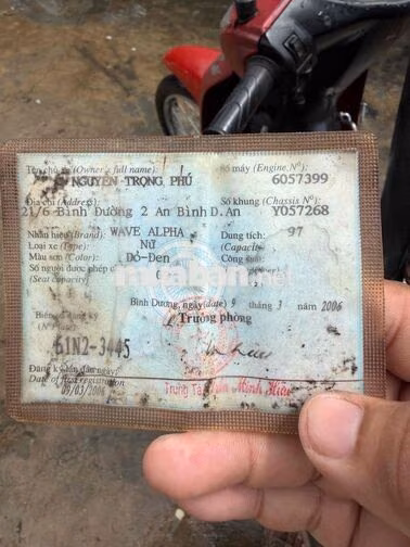 Honda wave anpha 206 teem xương cá biển 61 máy êm