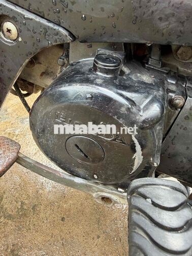 Honda wave anpha 206 teem xương cá biển 61 máy êm