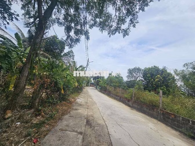 🔥 ĐẤT HÒA XUÂN GIÁ TỐT – 133,2m² – ĐƯỜNG BÊ TÔNG 5M – SỔ ĐỎ CHÍNH CHỦ 