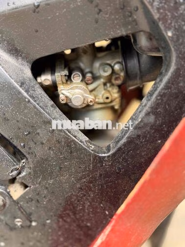 Honda wave anpha 206 teem xương cá biển 61 máy êm