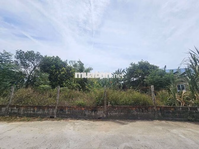 🔥 ĐẤT HÒA XUÂN GIÁ TỐT – 133,2m² – ĐƯỜNG BÊ TÔNG 5M – SỔ ĐỎ CHÍNH CHỦ 