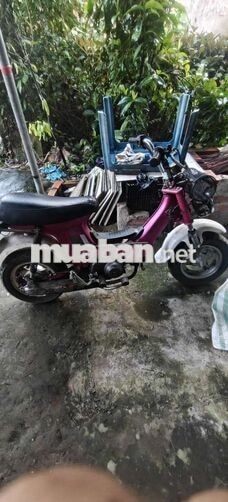 Xe máy Chaly Hồng hoạt động bình thường