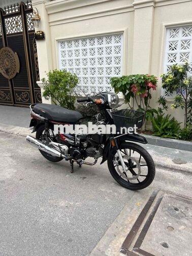Honda Citi Đen Xe số
