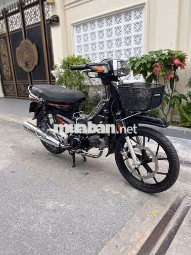 Honda Citi Đen Xe số