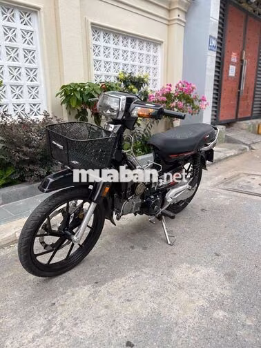 Honda Citi Đen Xe số