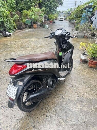 Yamaha Janus 2022