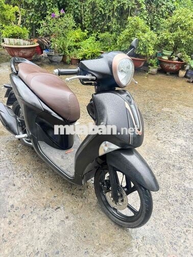 Yamaha Janus 2022