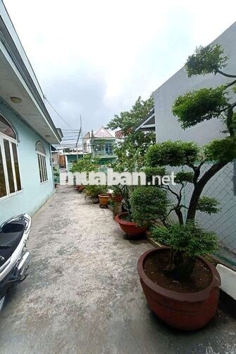 300m2 BÁN RẺ NHÀ TÂN HÒA, SỔ THỔ CƯ 💯 ĐƯỜNG OTO, SÂN OTO, GẦN NHÀ THỜ