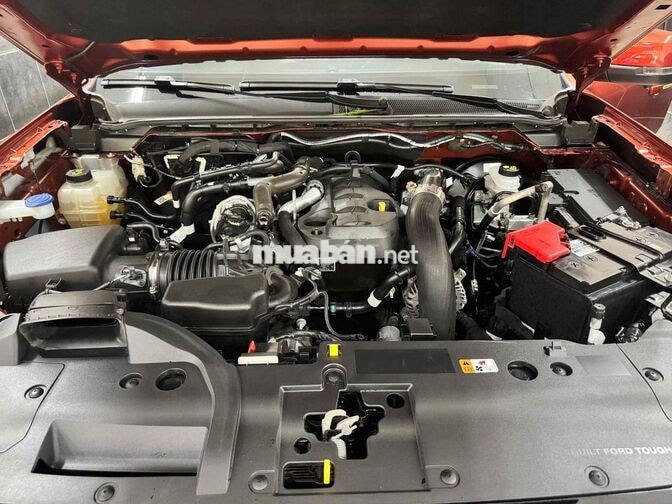 Ford Ranger XLS 2024 1 cầu (4x2) Cam