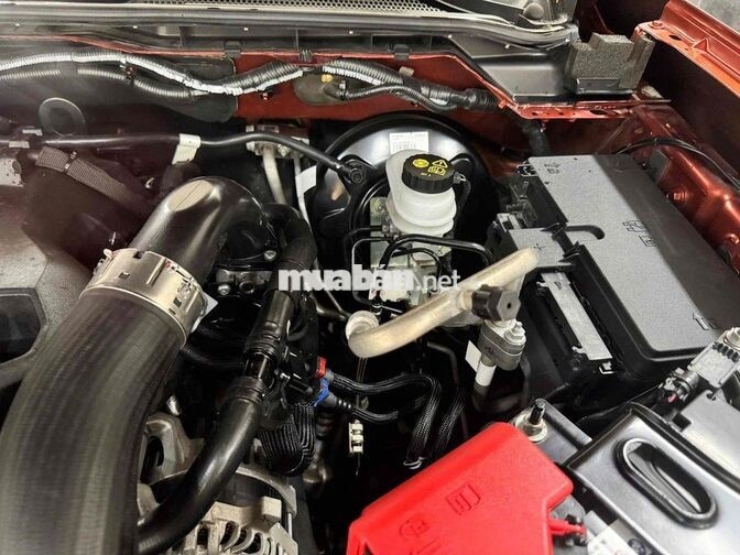 Ford Ranger XLS 2024 1 cầu (4x2) Cam