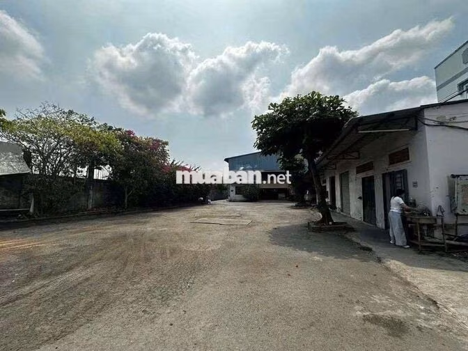 xưởng 2.800m² giá 130tr Bình mỹ củ Chi