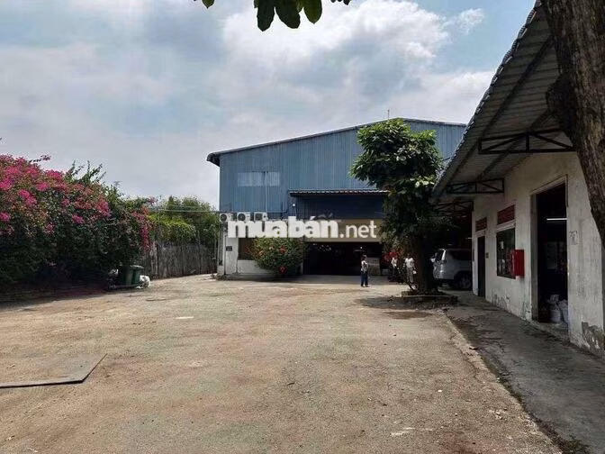 xưởng 2.800m² giá 130tr Bình mỹ củ Chi