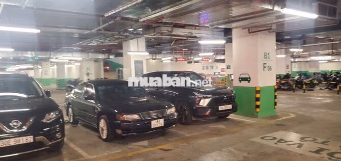 Nissan Cefiro A32 1995 mau Xanh than