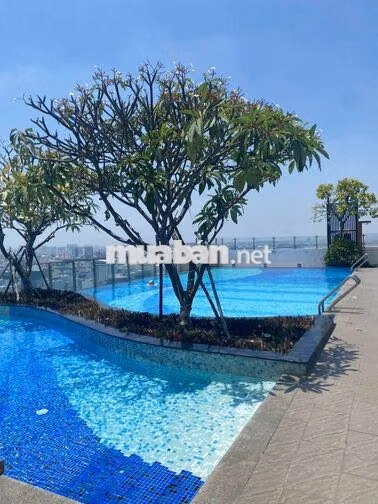 Cần cho thuê nhiều officetel-1pn-2pn 3pn tại CHCC Botanica Premier