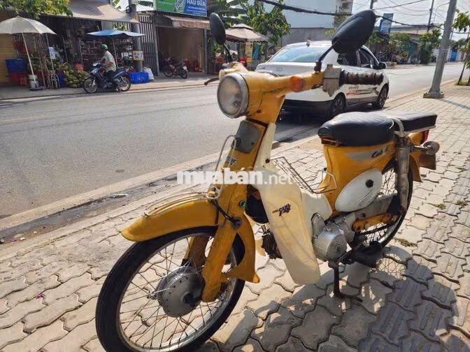 Honda Cub Little 50cc có đề💖bs82💝